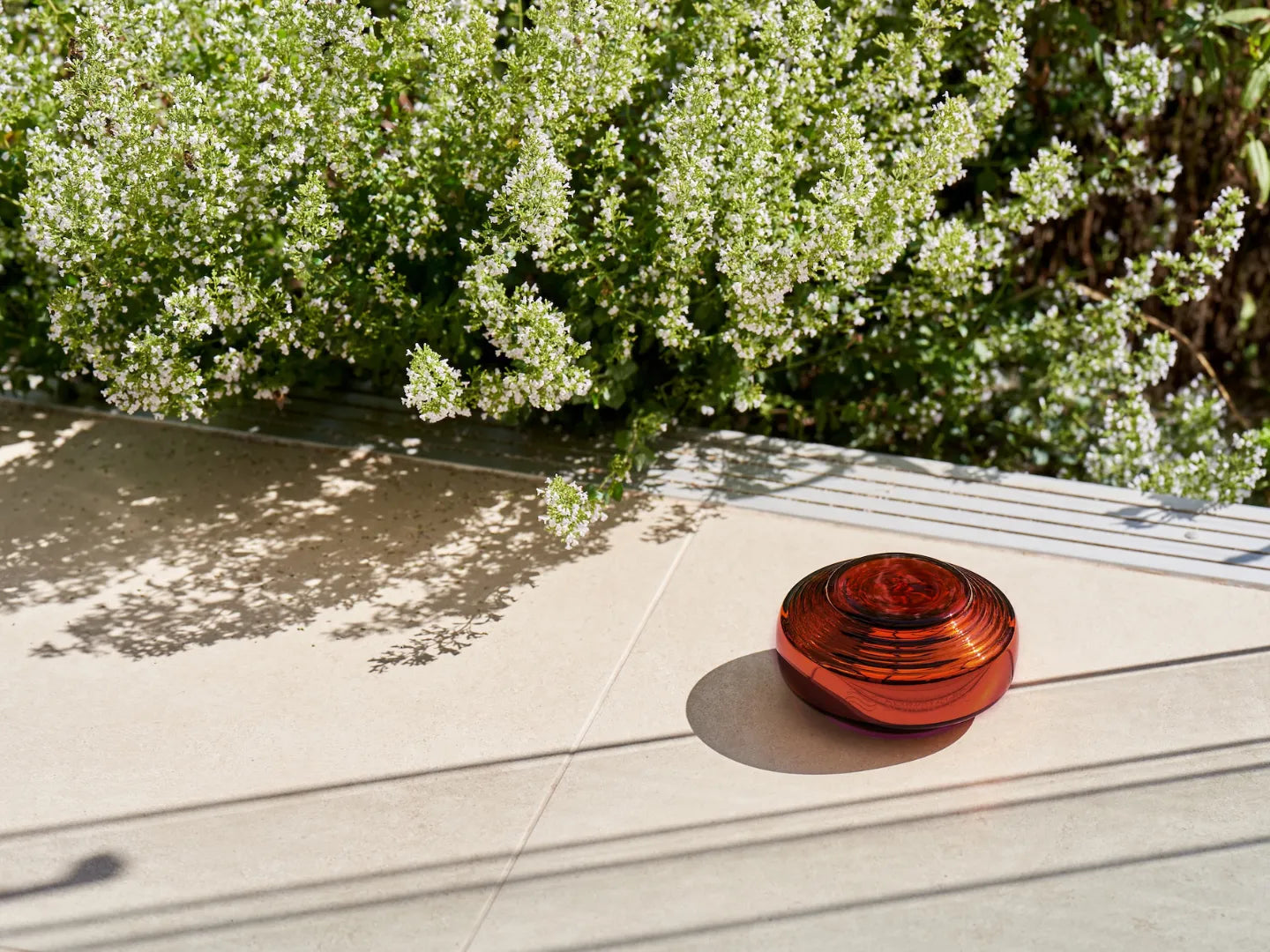 Somavedic Amber – Somavedic Ltd.